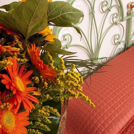 Hotel Rosy Cattolica