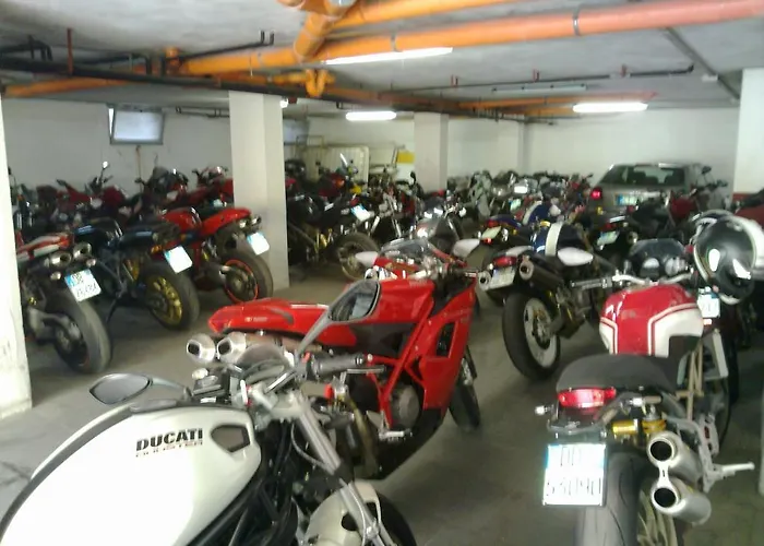 Rosy カットーリカ